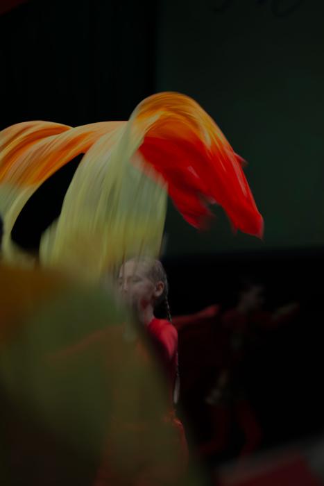 Voru-paevakeskus-Sofija-Bogovskaja-101