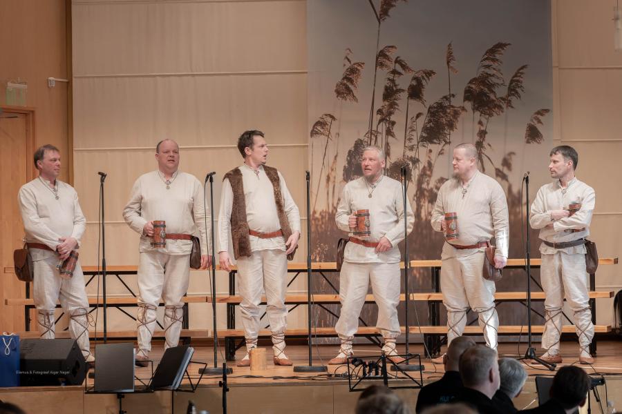 XII-VABARIIKLIK-MEESANSAMBLITE-LAULUPAEV-Fotograaf-Aigar-Nagel-17