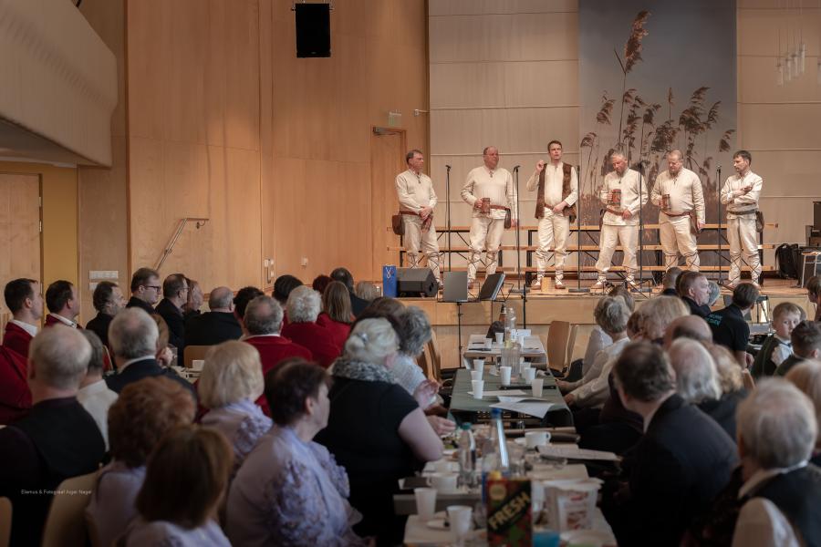 XII-VABARIIKLIK-MEESANSAMBLITE-LAULUPAEV-Fotograaf-Aigar-Nagel-18